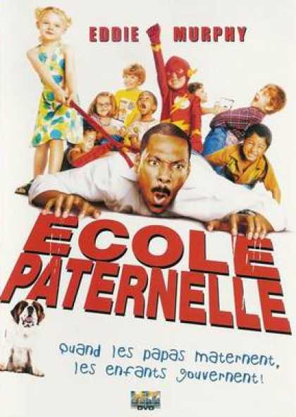 French DVDs - Daddy Day Care