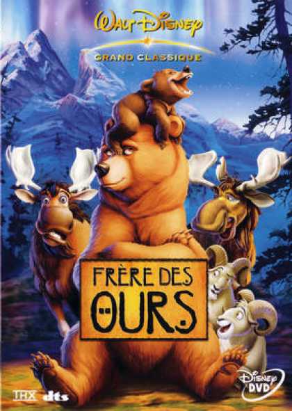 French DVDs - Frère Des Ours