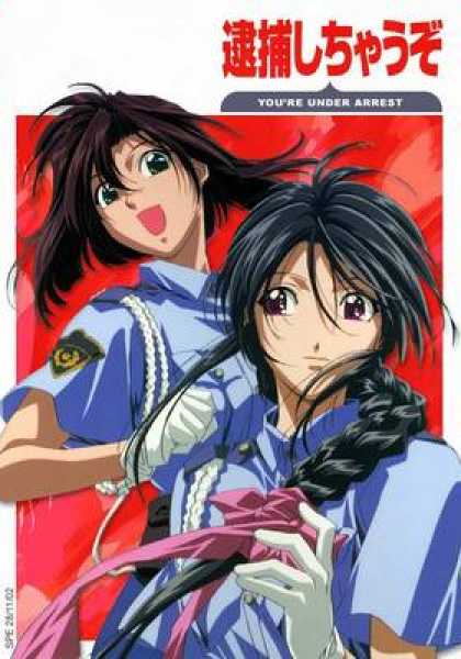 French DVDs - Youre Under Arrest