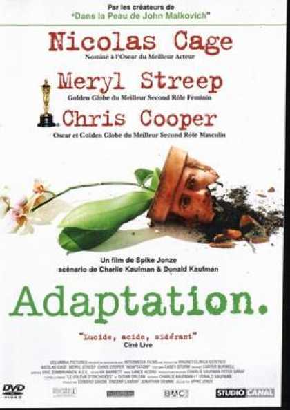 French DVDs - Adaptation