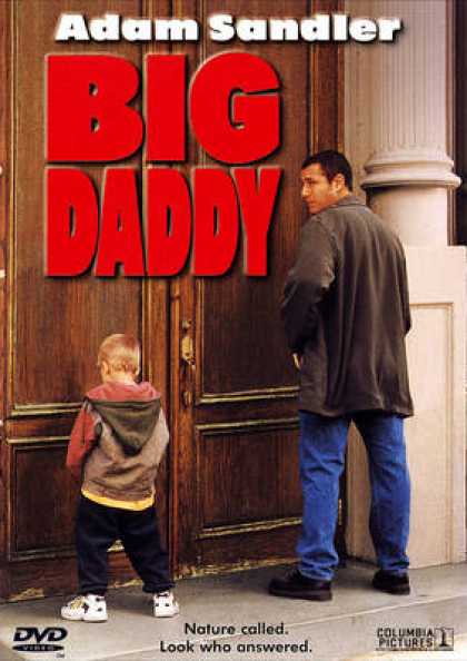 French DVDs - Big Daddy