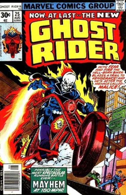 Ghost Rider 25 - On Fire - Red Hot Hog - All Bones - Marvel Comics - Skelleton On A Bike - Marko Djurdjevic, Steve Leialoha
