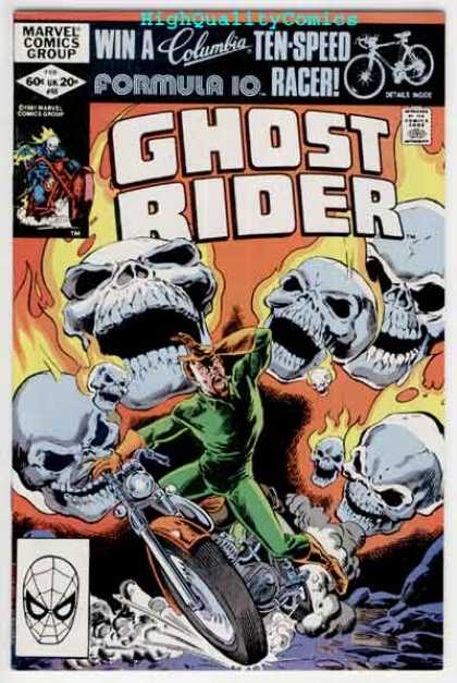 Ghost Rider 65 - Skulls - Motorcycle - Scary - Skeletons - Salvador Larroca