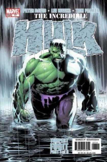 Hulk (2000) 77