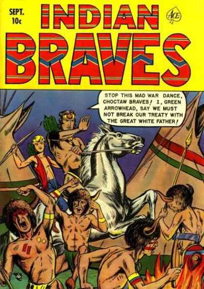 Indian Braves 4