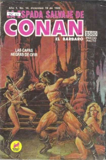 La Espada Salvaje de Conan (1988) 14