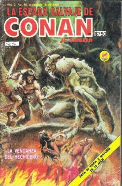La Espada Salvaje de Conan (1988) 40