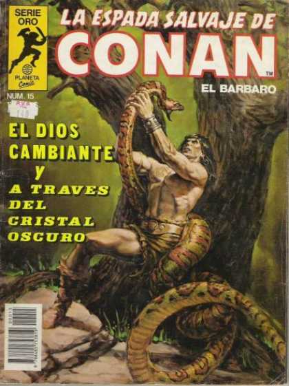 La Espada Salvaje de Conan 15