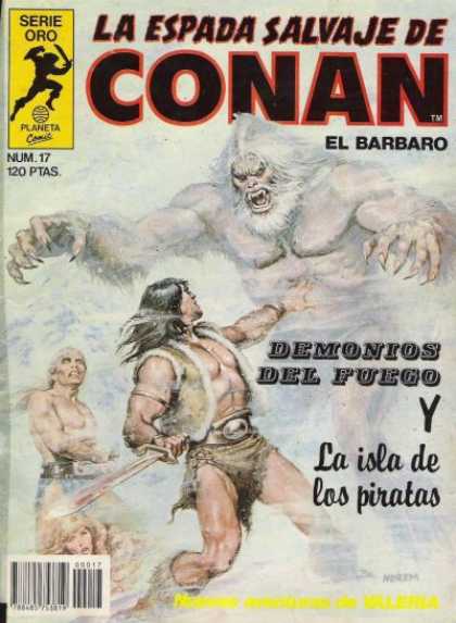 La Espada Salvaje de Conan 17