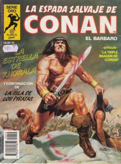 La Espada Salvaje de Conan 19