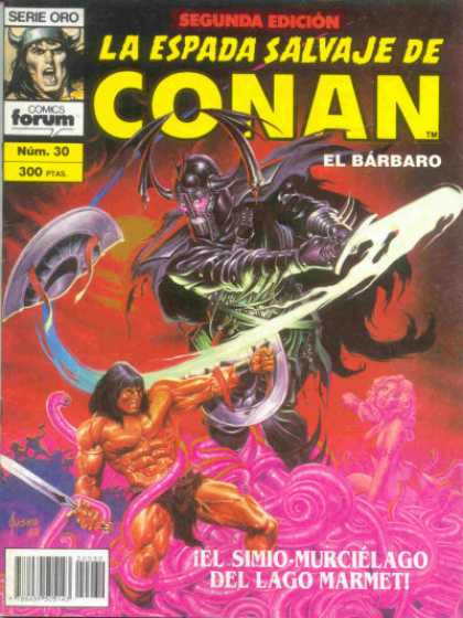 La Espada Salvaje de Conan 30