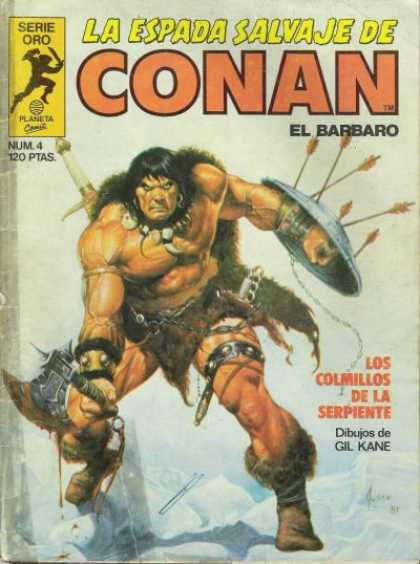La Espada Salvaje de Conan 4