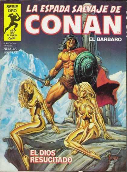 La Espada Salvaje de Conan 45