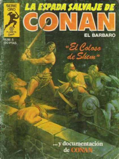 La Espada Salvaje de Conan 5