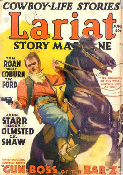 Lariat 26