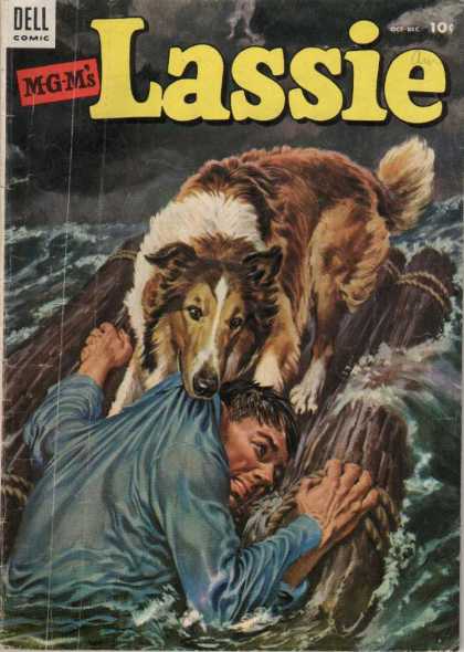Lassie 13