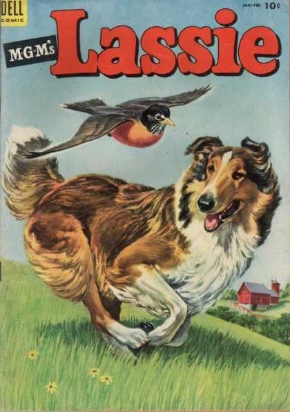 Lassie 14