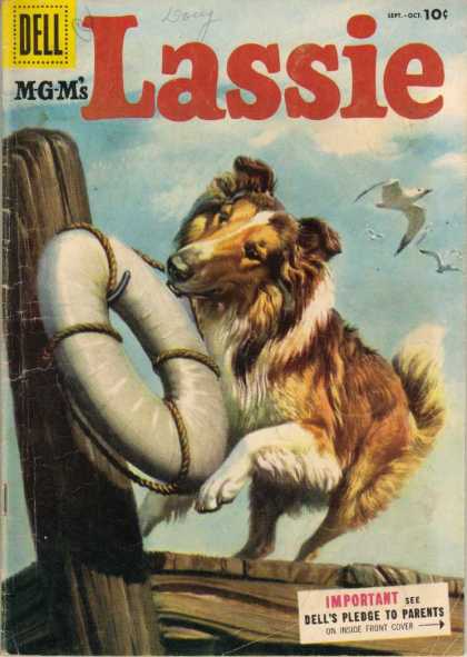 Lassie 24