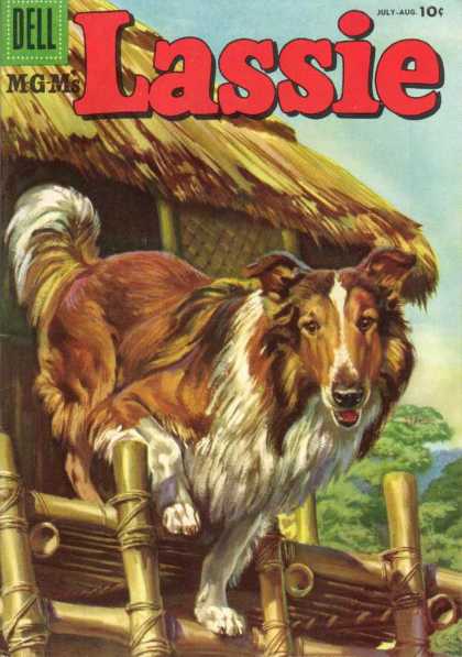 Lassie 29