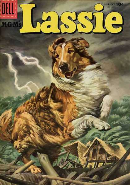 Lassie 30 - Mgm - Ligntning - Wind - Debris - Dog