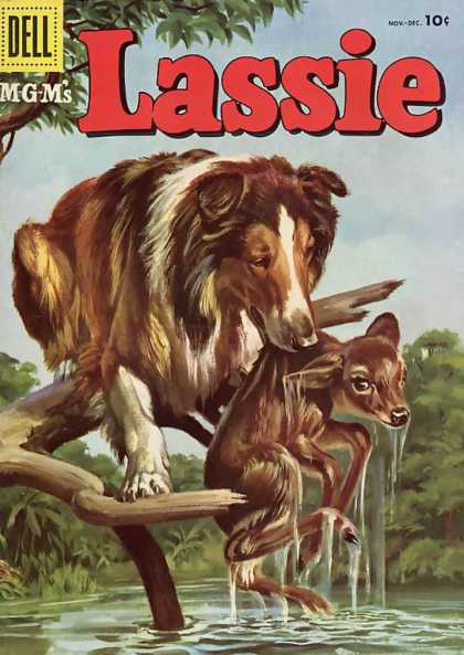 Lassie 31