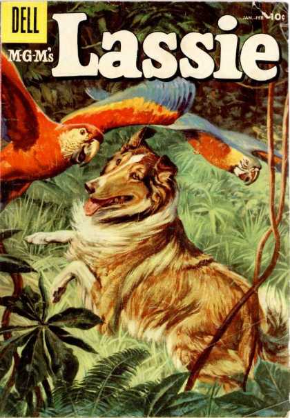 Lassie 32