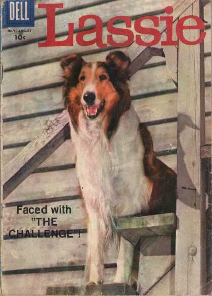 Lassie 41