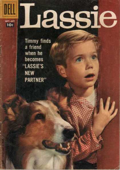 Lassie 42 - Timmy - Dog - Blue Eyes - Checkered Shirt - Blonde Hair