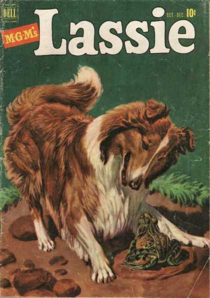 Lassie 5