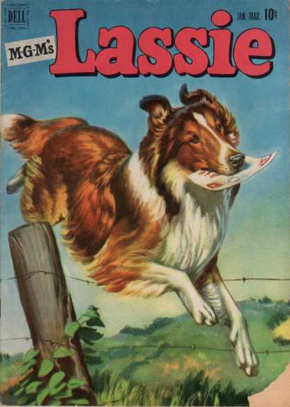 Lassie 6