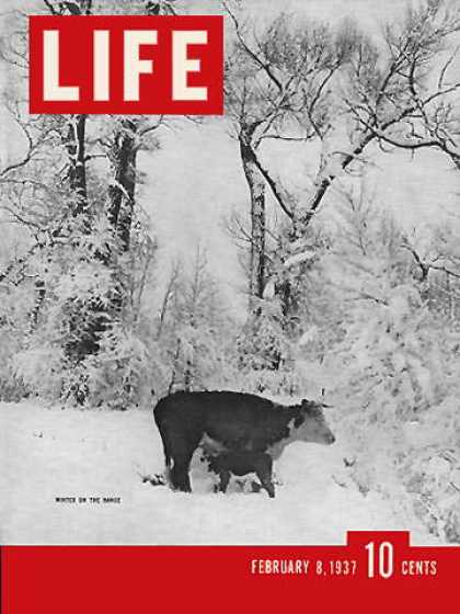 Life - Wyoming Winter