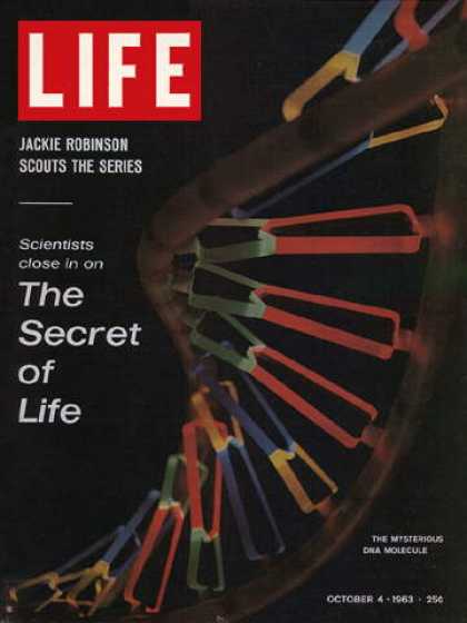 Life - DNA molecule