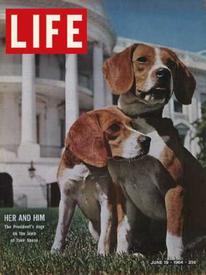 Life - President Johnson's Beagles