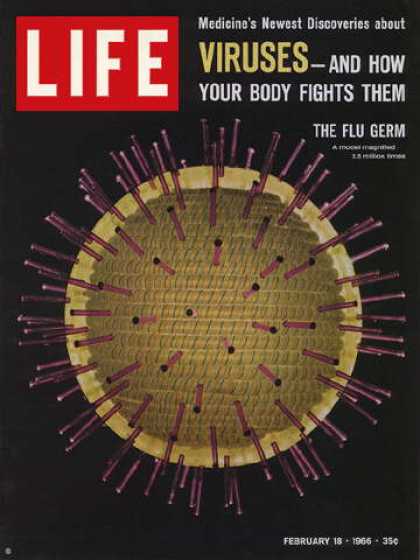 Life - Model of flu germ