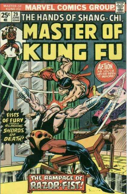 Master of Kung Fu 29