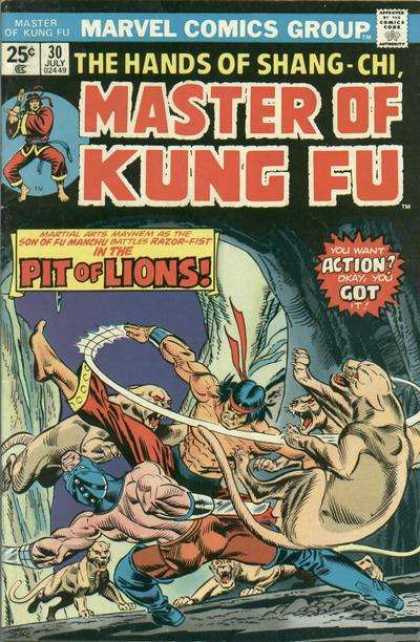 Master of Kung Fu 30