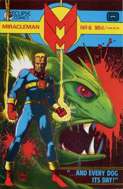 Miracle Man 6