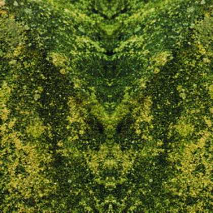 Miscellaneous CDs 10243