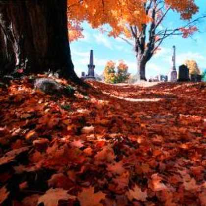 Miscellaneous CDs 11513