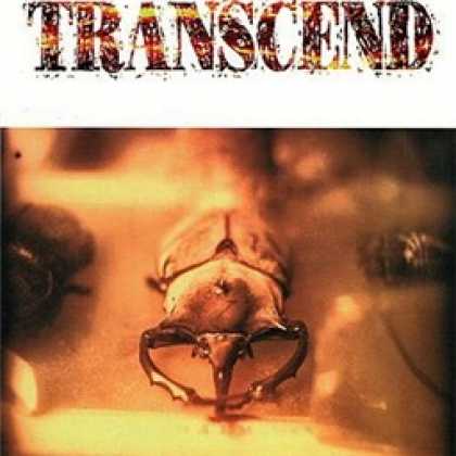 Miscellaneous CDs 11704