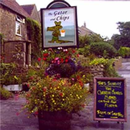 Miscellaneous CDs 12169