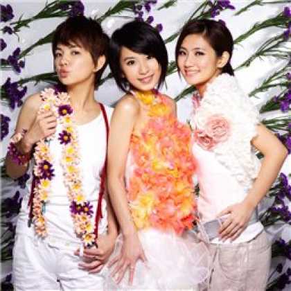 Miscellaneous CDs 12559