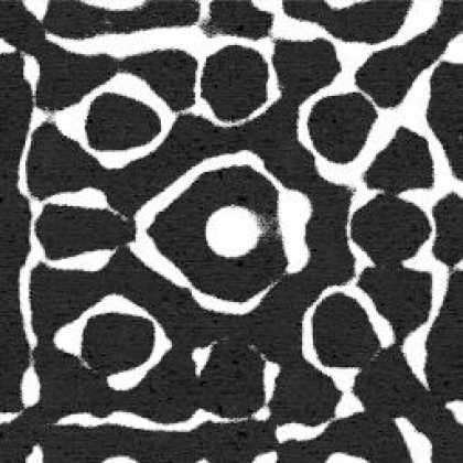 Miscellaneous CDs 12756