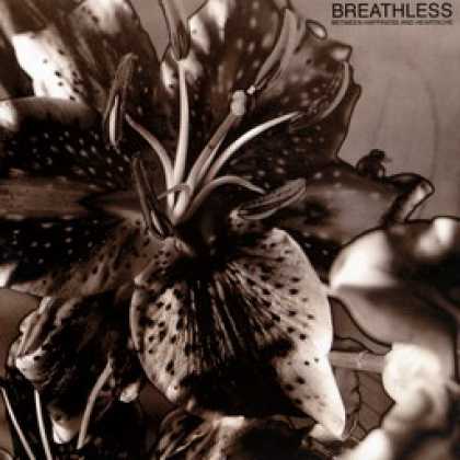 Miscellaneous CDs 13071