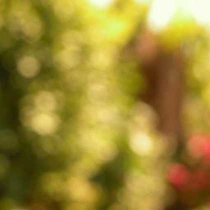 Miscellaneous CDs 13761