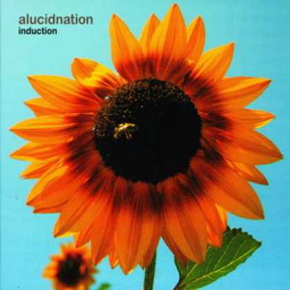 Miscellaneous CDs 20039