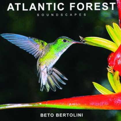 Miscellaneous CDs 20166