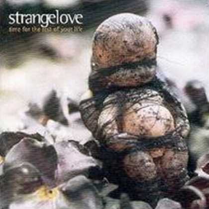 Miscellaneous CDs 20304