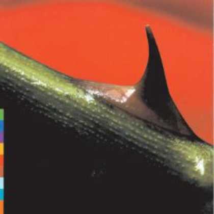 Miscellaneous CDs 21325