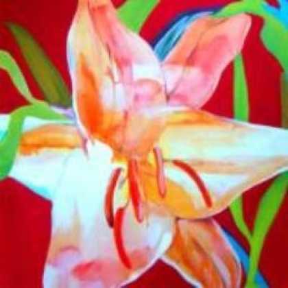 Miscellaneous CDs 3701